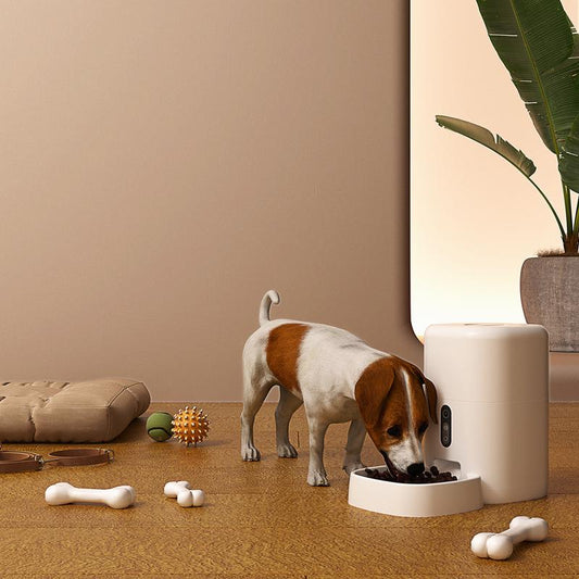 Top 5 Slimme Gadgets voor Jouw Kat of Hond in 2024