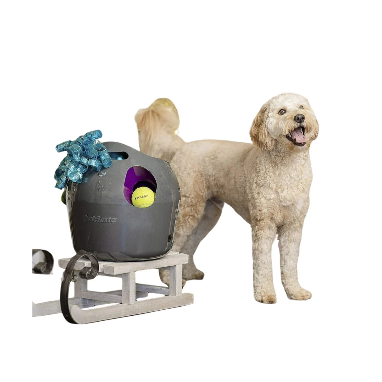 Automatische ballenwerper voor hond