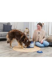 Trixie Dog Activity Memory Trainer 3.0