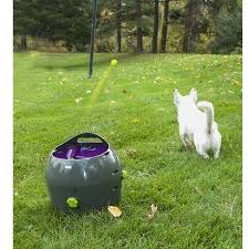 Petsafe Automatic Ball Launcher