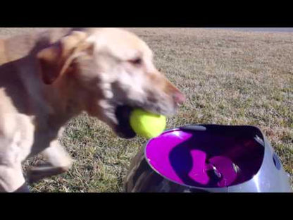 Petsafe Automatic Ball Launcher